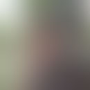 team - Ashton Kutsher